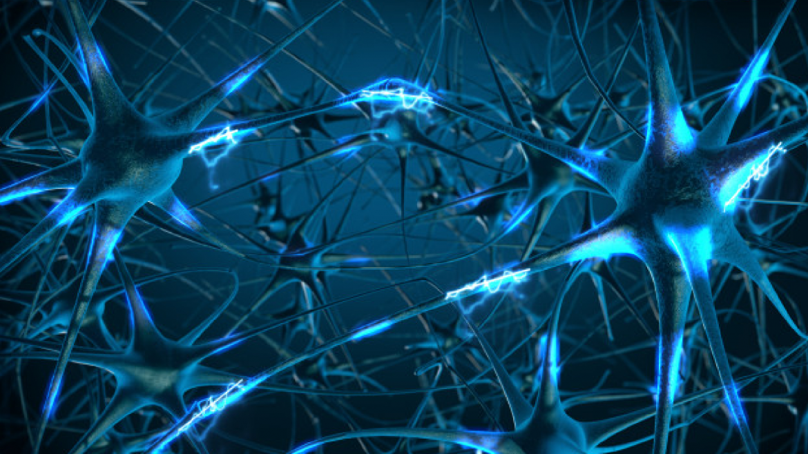 Terapia Neural