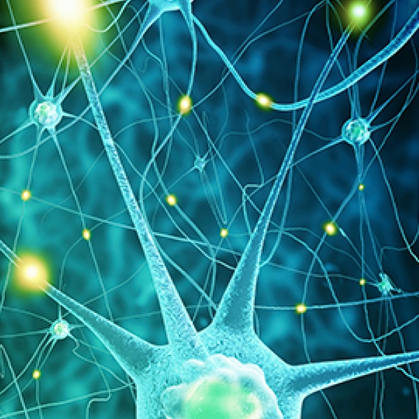 Terapia-neural-1