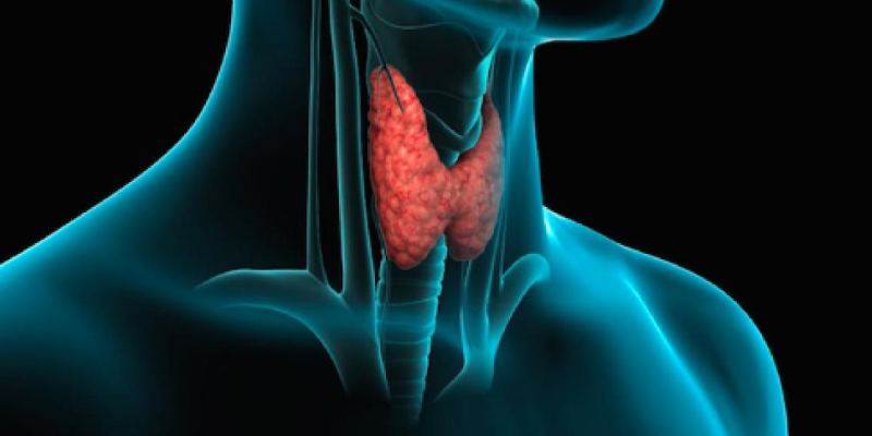 Cómo Resucitar tu Tiroides y Aumentar tu Metabolismo