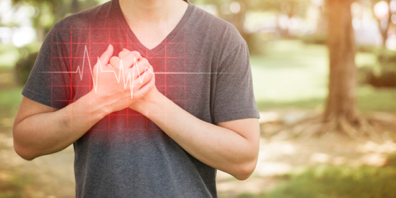 Cómo Sanar Tu Sistema Cardiovascular
