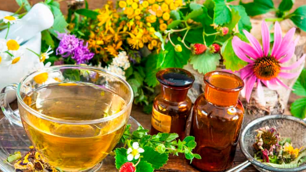Plantas Medicinales y Fitoterapia